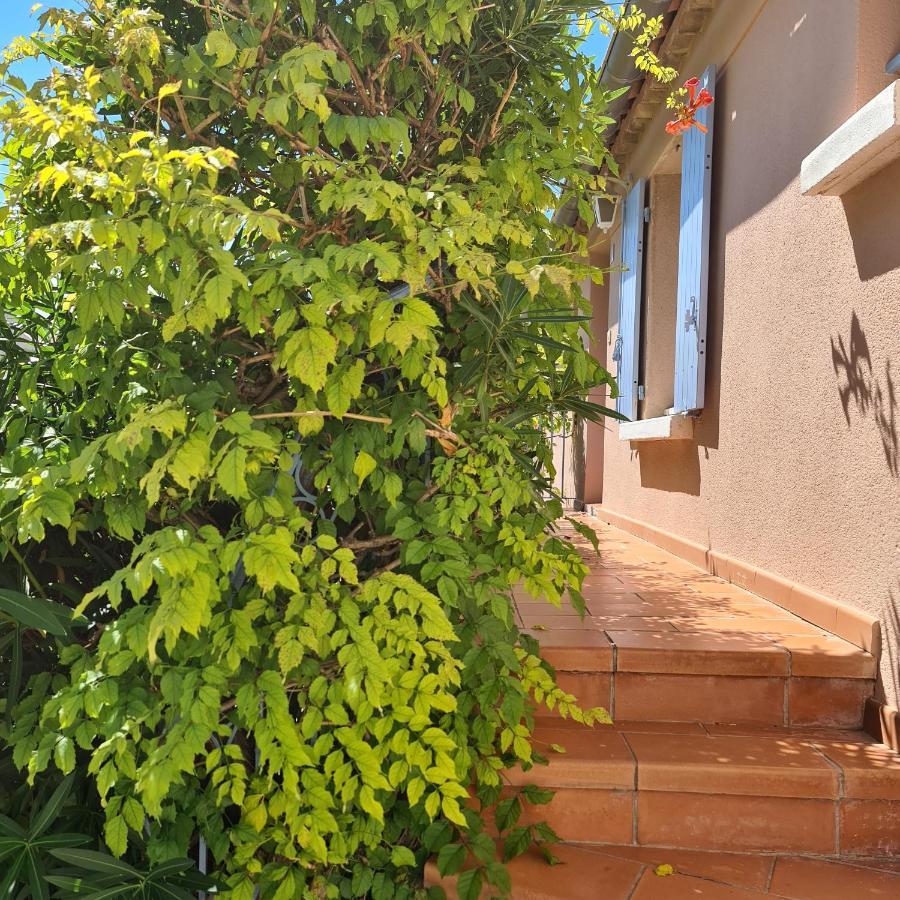 Appartement HAMEAU DES AMANDIERS - vue mer, golf et vignes à Saint-Cyr-sur-Mer Extérieur photo